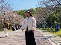 -团城山公园