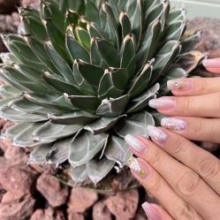 -LILY NAILS美甲美睫