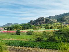 -塞罕坝国家级自然保护区