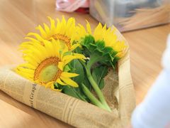 -杭州湾海上花田景区