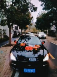 -蚂蚁婚车
