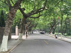 iphone_upload_pic-八大关景区