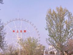 -天津水上公园