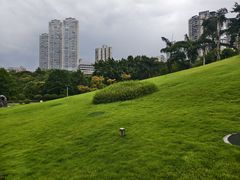 -龙头寺公园
