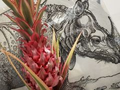-双季花艺园艺市场(浦东店)
