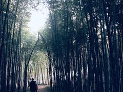 -山里人家土菜馆(茅山店)