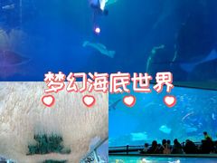 -海合安成都极地海洋公园