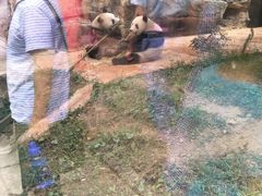 -贵州森林野生动物园