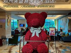 -郑州美盛喜来登大酒店