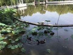 -丰台花园
