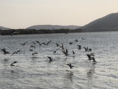 -蠡湖大桥公园