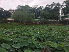 -龙环葡韵住宅式博物馆