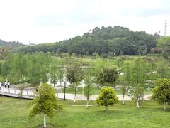 -东莞植物园