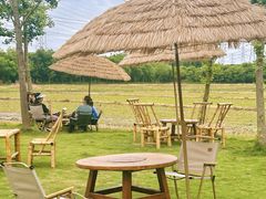 -华东政法大学(松江校区)