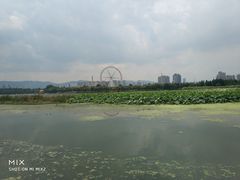 -庾园