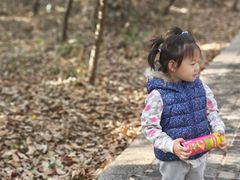 -紫金山山顶公园