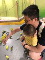 点击看大图 -七巧国萌宠乐园(龙湖天街店)