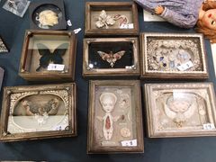 -【朵云轩艺术中心】博洛尼亚插画展·中国巡展·上海站
