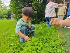 -华媒维翰幼儿园
