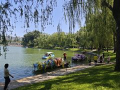 -金凤成祥(西罗园店)