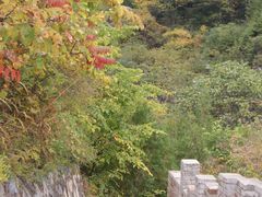 -云岫谷自然风景区