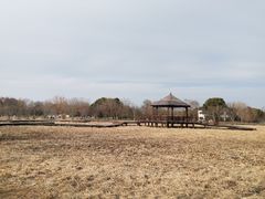 -梁鸿国家湿地公园
