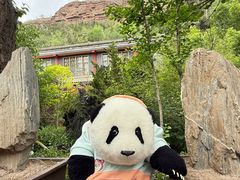 -土楼观-北禅寺