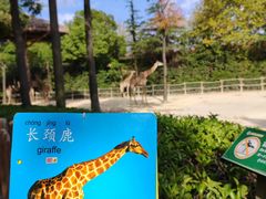 -上海野生动物园
