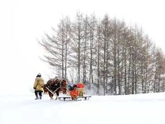 -长白山华美胜地滑雪场