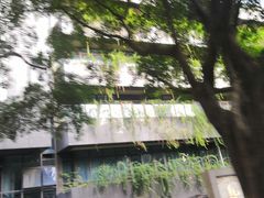 -天籁艺术高考培训学校·重庆艺考集训