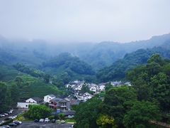 -阿巧茶庄