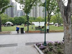 -新江湾城公园