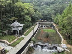 -白水寺森林公园