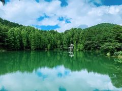-四明山国家森林公园