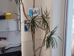 -Blueglass酸奶(上生新所店)