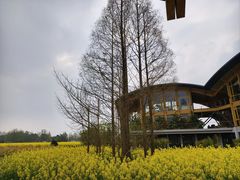 -中国天府农业博览园