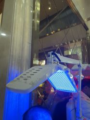 -碧莲盛·不剃发植发