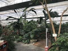 -汤山翠谷生态餐厅