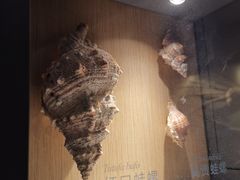 -中国湿地博物馆