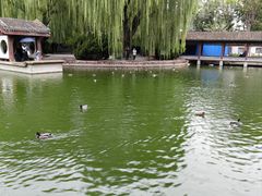 -团结湖公园