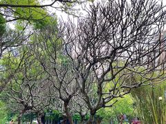 -晓港公园