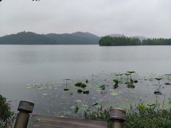 -东湖落雁景区
