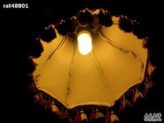 CIMG3958-做了不起的80后