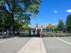 -莲花池公园