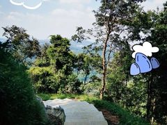 -黄埔油麻山森林公园