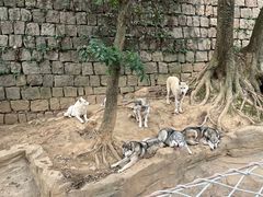 -杭州长乔极地海洋公园