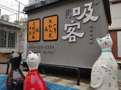 -猫咪博物馆(顶澳仔猫街店)