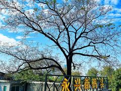 -洲头咀公园