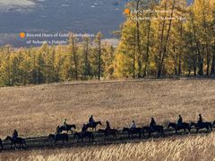 -莫尔道嘎国家森林公园