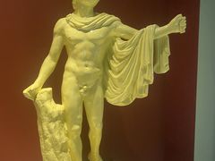 -成都泰迪熊博物馆